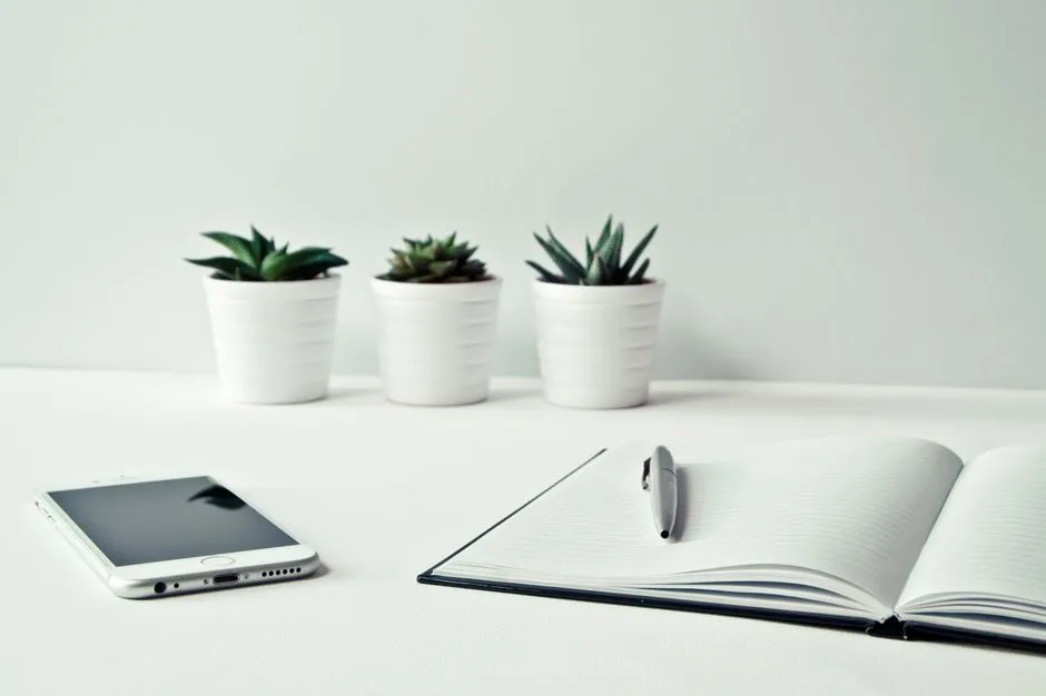 A tidy desk with an open notebook, pen, and small potted plants